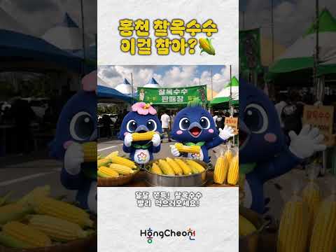 홍이청이 찰옥수수 먹방중🌽